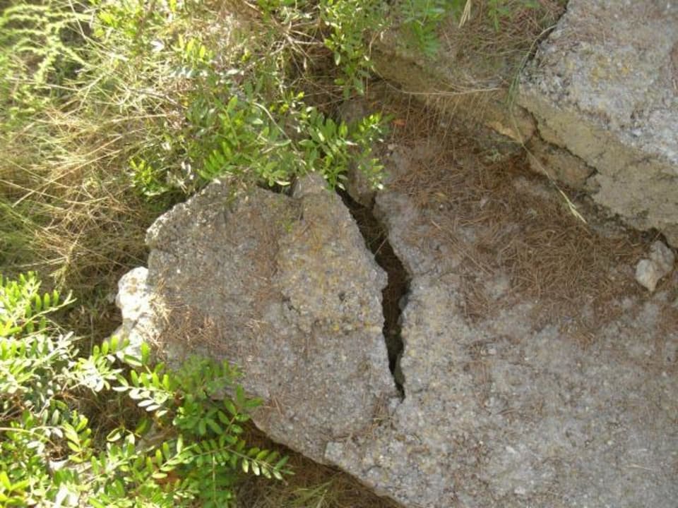 400 m Weg vom Hotel zum Strand HSM Canarios Park