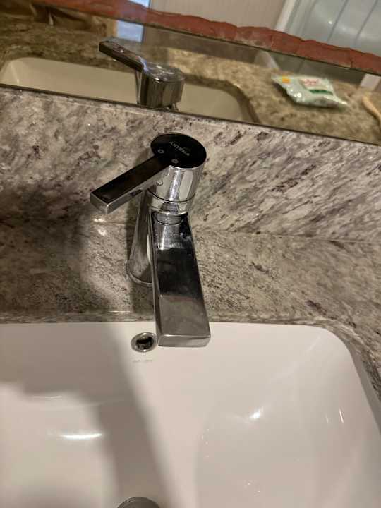 Zimmer Royal Seginus