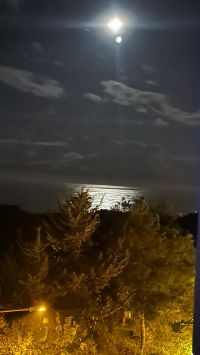 Ausblick Gardenia Hotel