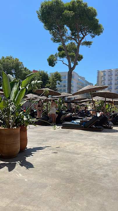 Außenansicht Caramelo Palma Beach