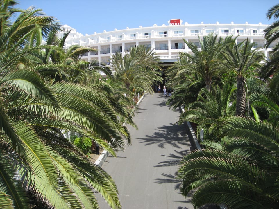 Das Hotel von der Strandseite her Hotel Riu Palace Maspalomas Adults Only