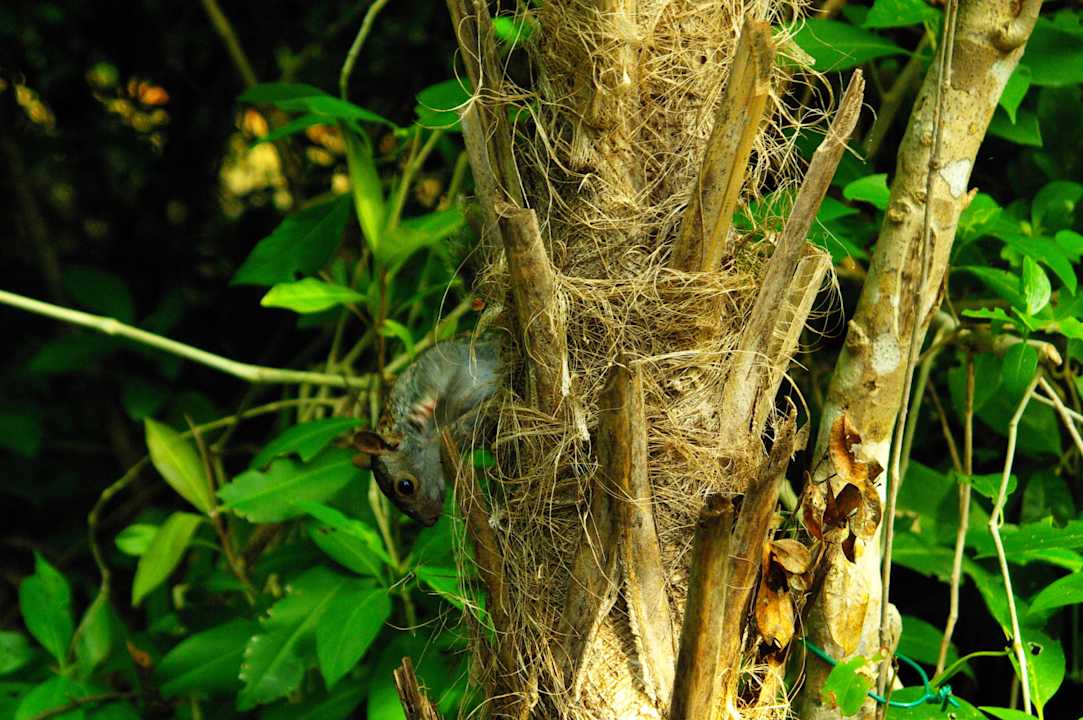 Auf Beutefang Grand Palladium Kantenah Resort & Spa