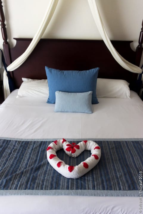 Fast jeden Tag was Neues Dreams La Romana Resort & Spa