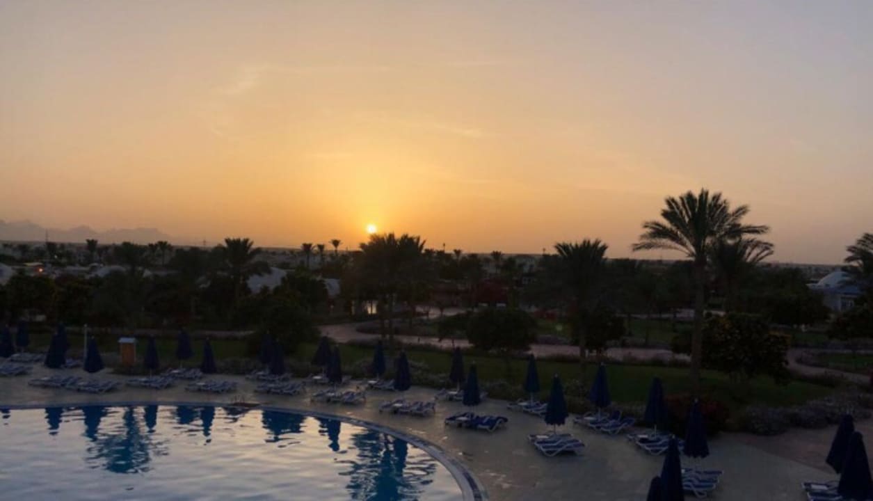 Ausblick Desert Rose