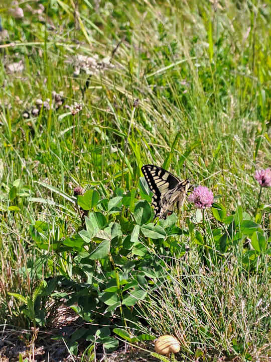 Sport & Freizeit Pension Erlenhof