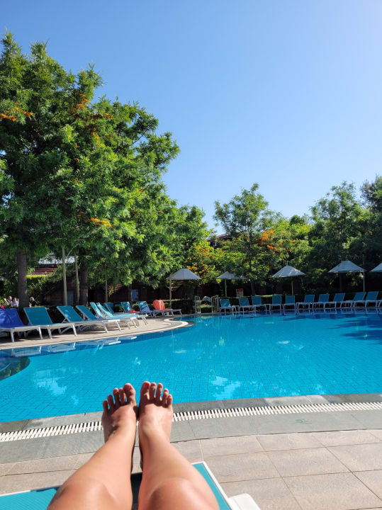 Pool Can Garden Beach