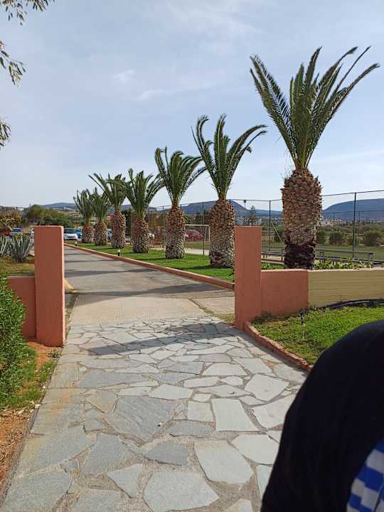 Gartenanlage allsun Hotel Zorbas Village