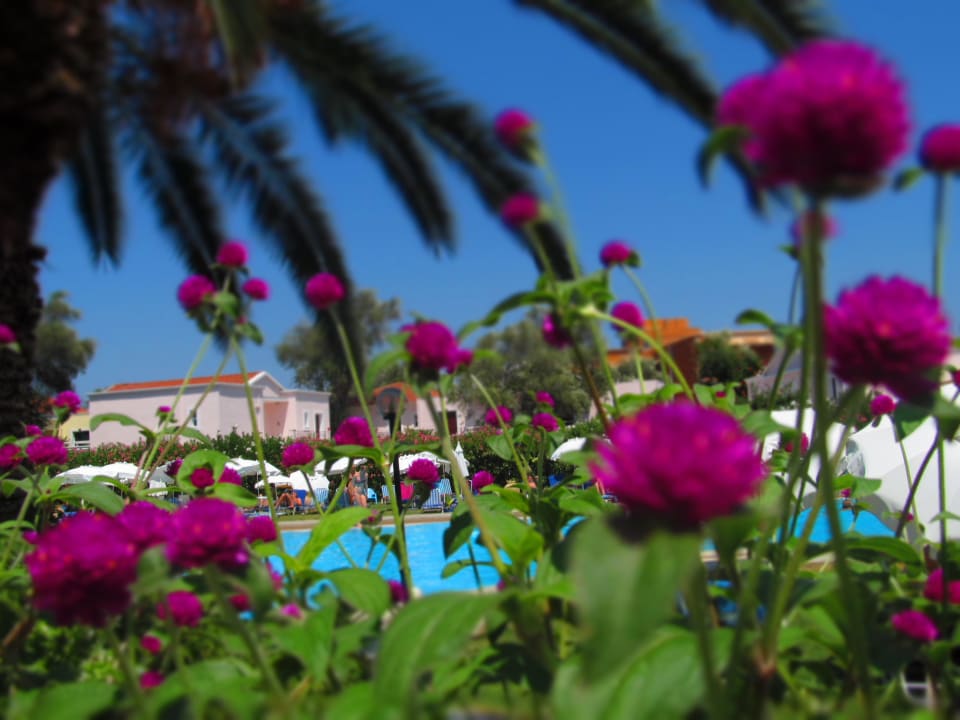 Jeden z basenów Sentido Apollo Palace