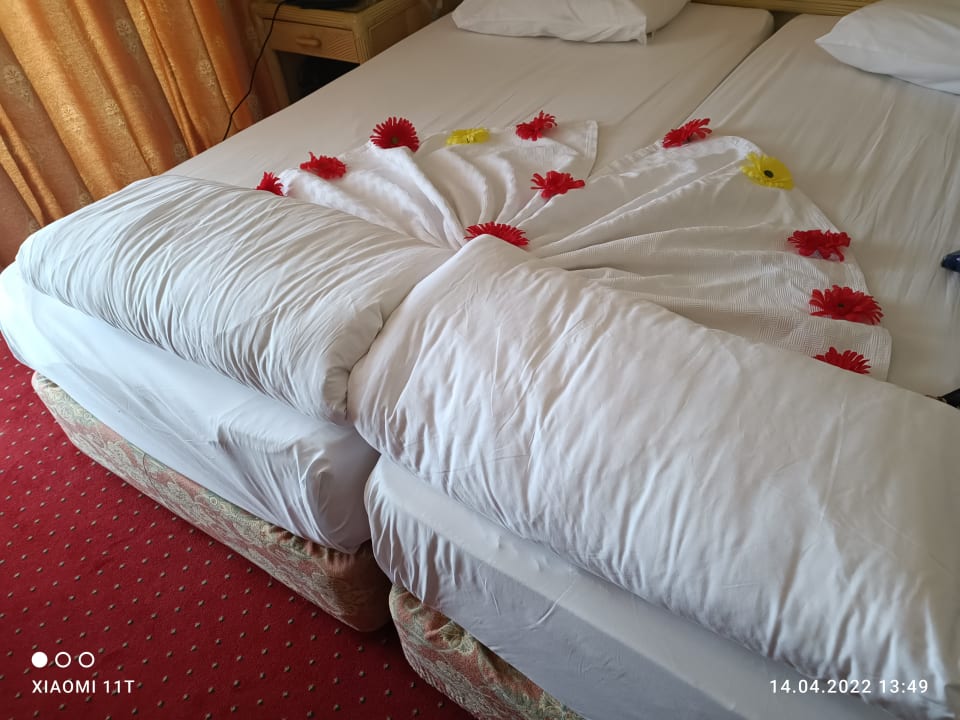 Zimmer Aska Hotel Just in Beach