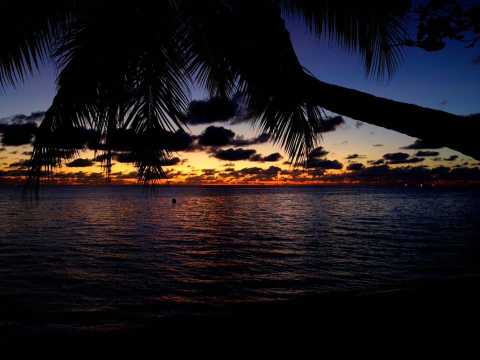Morgenstimmung kurz vor Sonnenaufgang Diamonds Thudufushi
