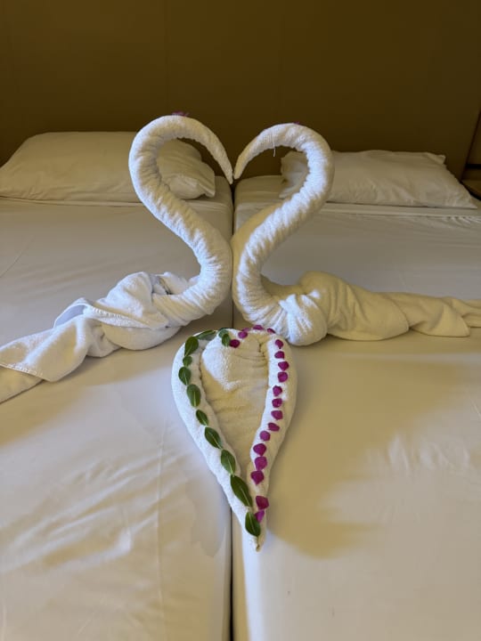 Zimmer Jaz Makadi Oasis Resort