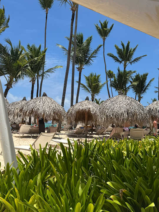 Strand TRS Turquesa Hotel - Adults only