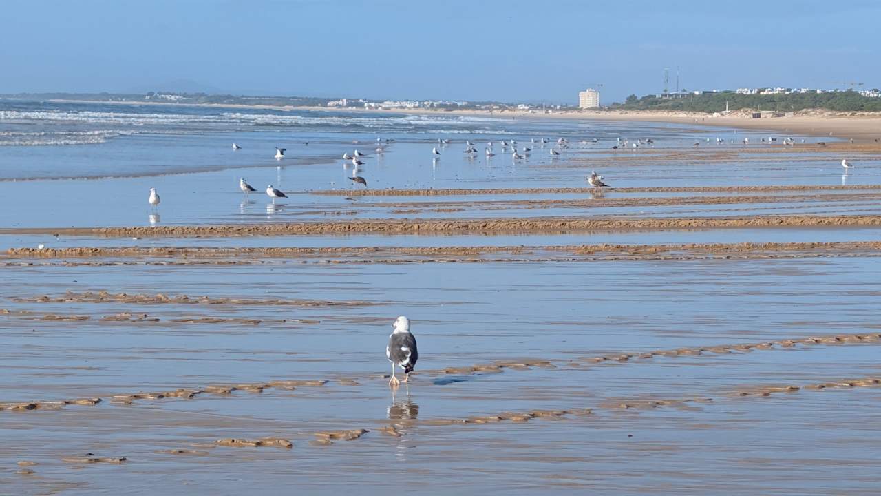 Strand Hotel Vasco da Gama