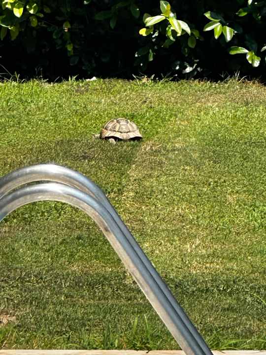 Gartenanlage TUI BLUE Barut Andız - All Inclusive - Adults Only