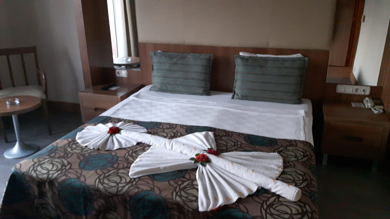 Zimmer AQI Pegasos World