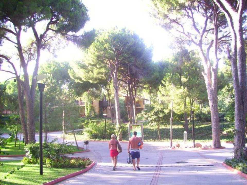 Hotel Club Magic Life Waterworld Imperial Asteria Family Belek