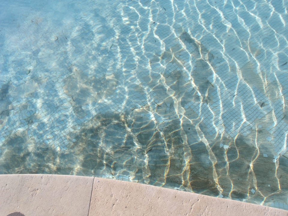 Pool Makadi Spa - Adults only