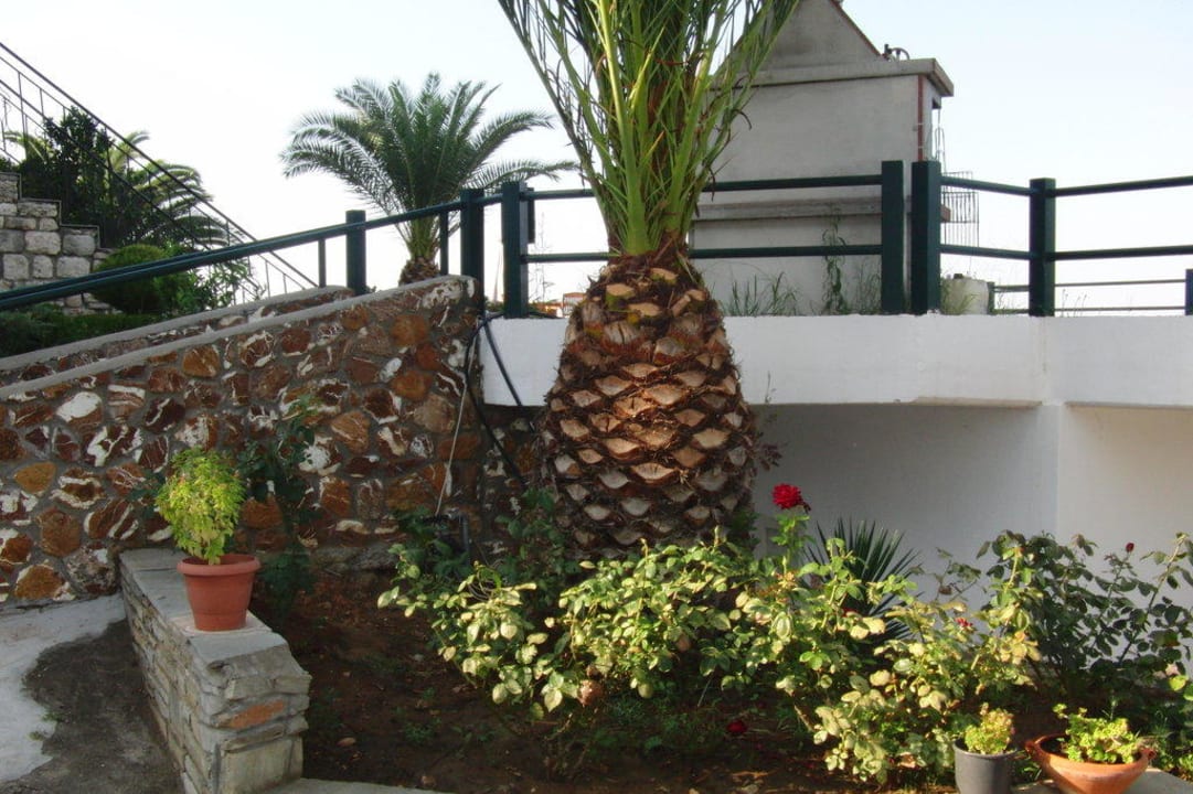 Palme Glavas Inn Hotel