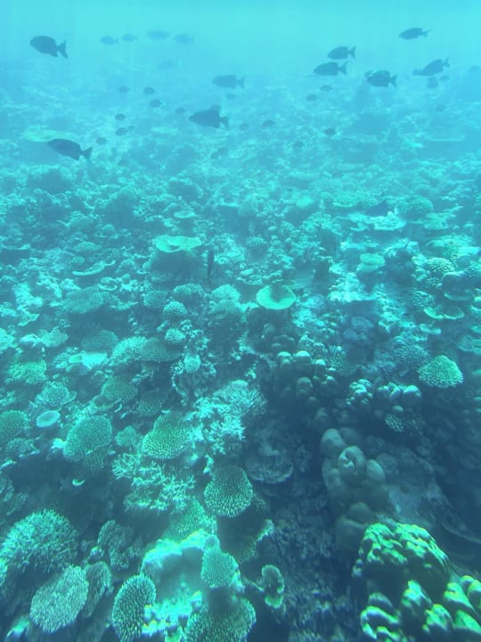 Sport & Freizeit Machchafushi Island Resort & Spa Maldives, The Centara Collection