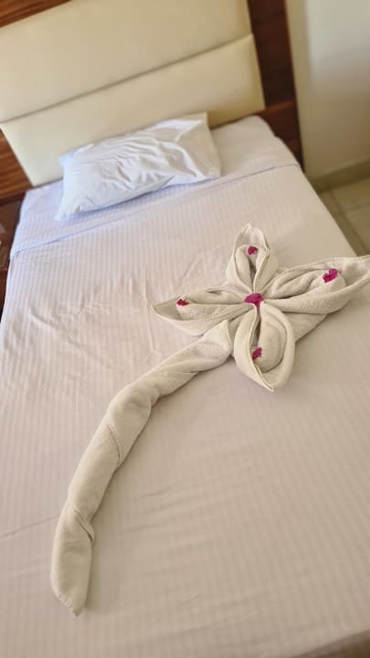 Zimmer Seagull Beach Resort