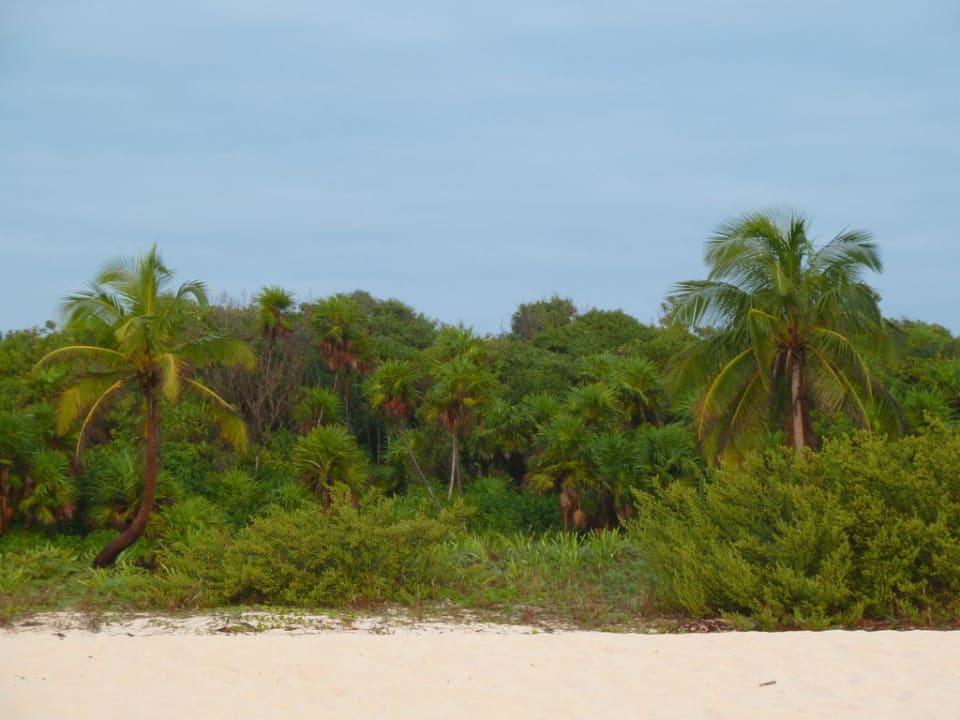 Strand Sandos Playacar Select Club Adults only - All Inclusive