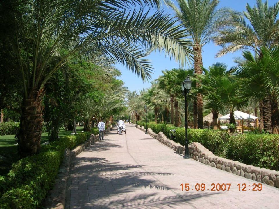 Strand - Promenade nach links Ghazala Beach