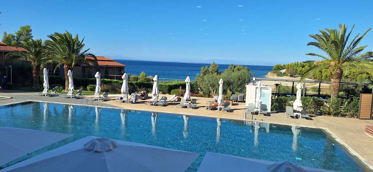 Pool Blue Dolphin Resort Hotel