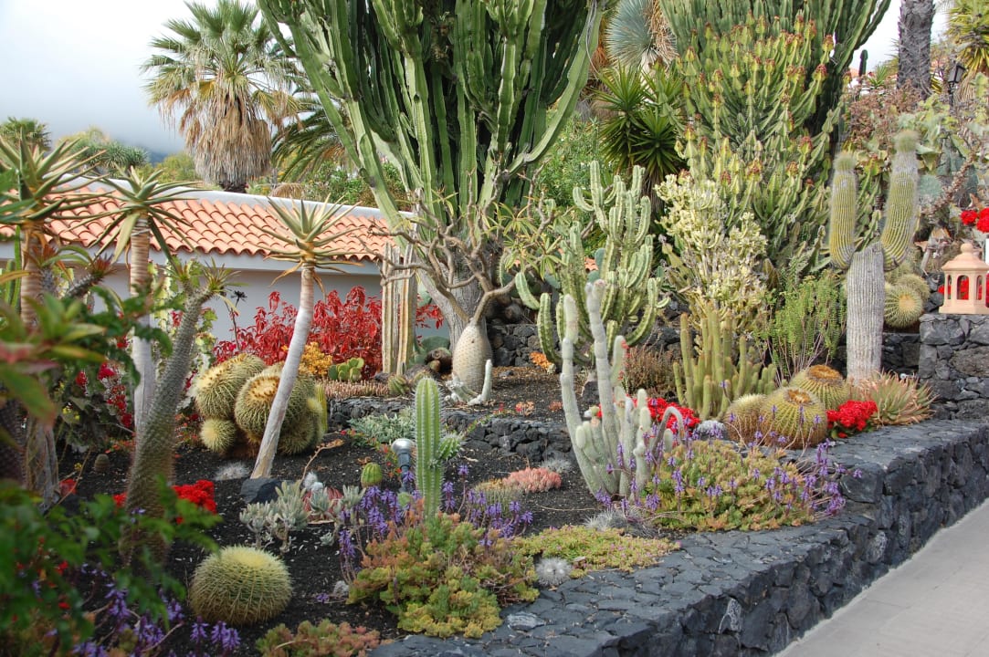 Kakteengarten La Palma Jardin