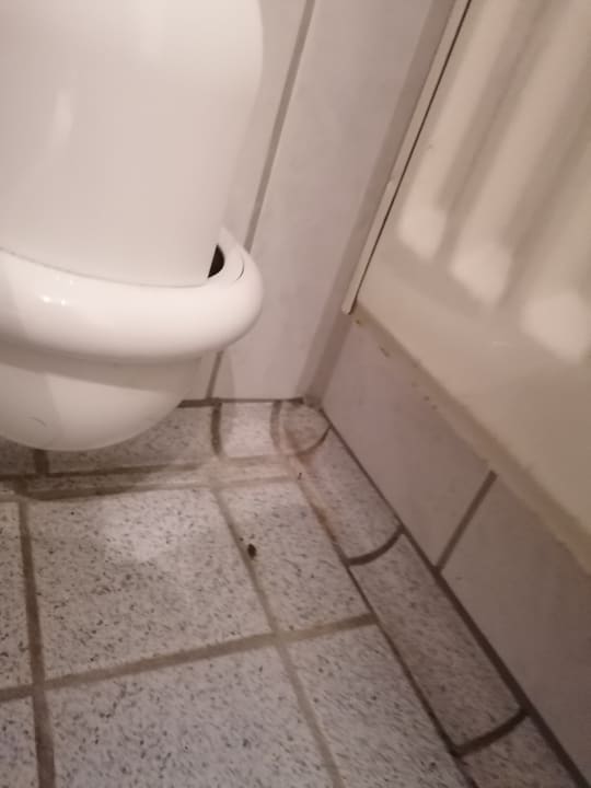 Zimmer Grandhotel Esplanade