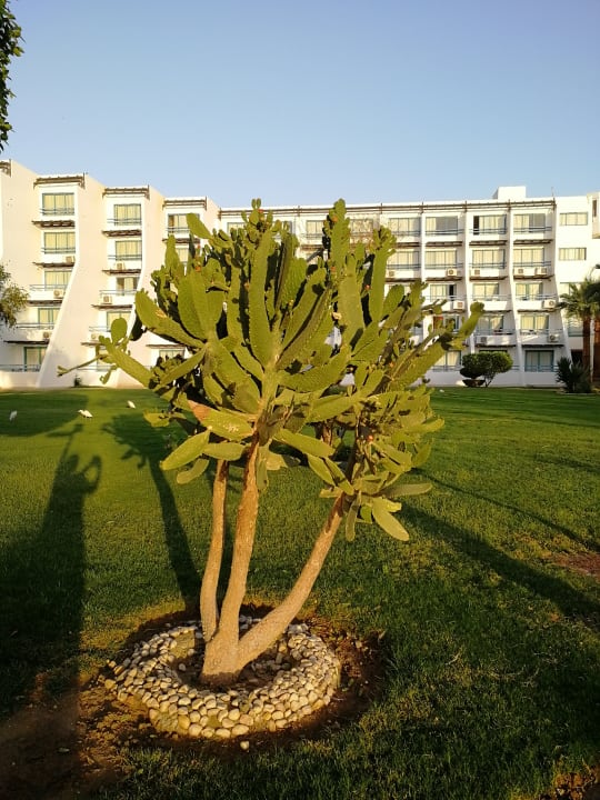 Außenansicht Shams Safaga Resort