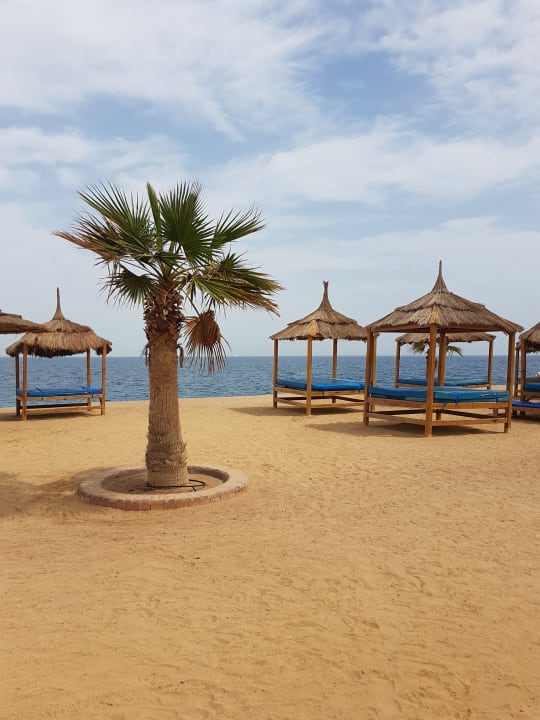 Strand Pickalbatros Aqua Vista Resort - Hurghada