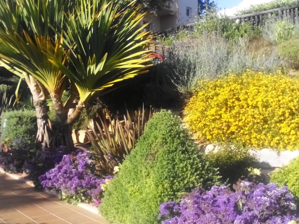 Zur Bar 3HB Guaraná - All Inclusive