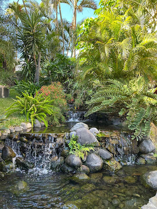 Gartenanlage allsun Hotel Lucana