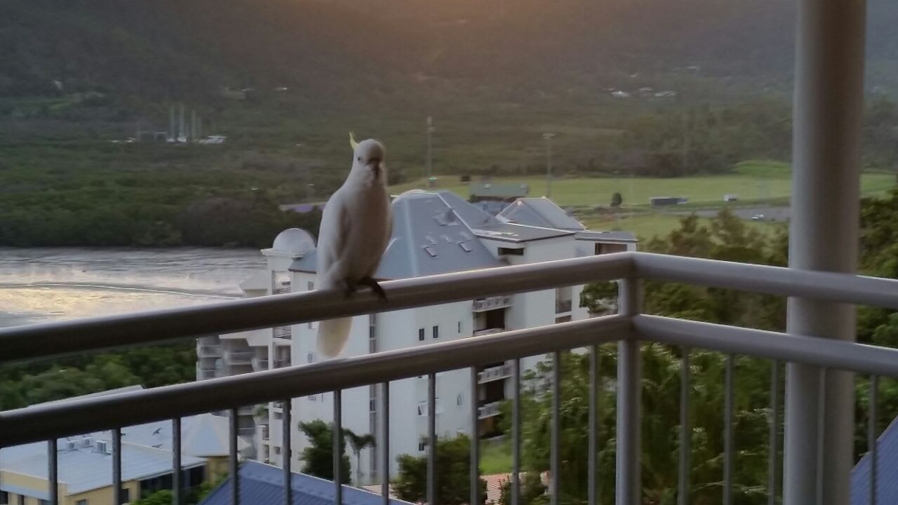Außenansicht Hotel Peppers Coral Coast