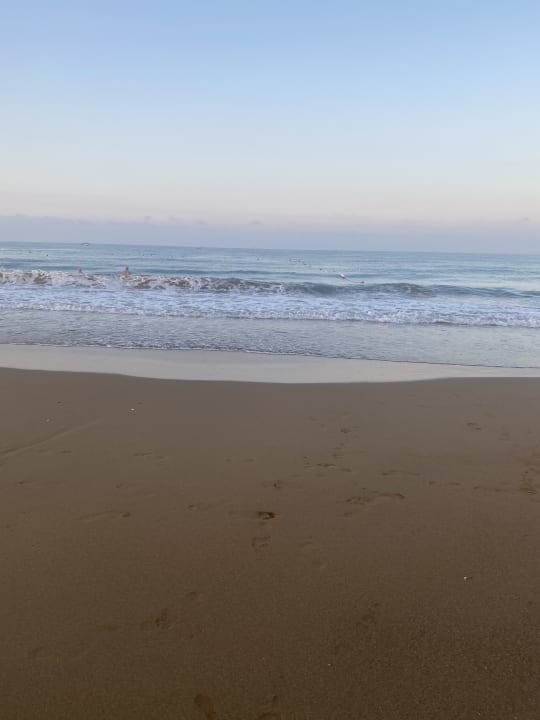 Strand Diamond Excellence Resort & Spa