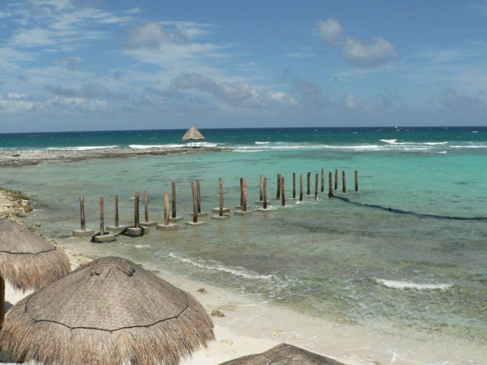 Blick vom Zimmer aufs Meer Grand Oasis Tulum Riviera - All Inclusive