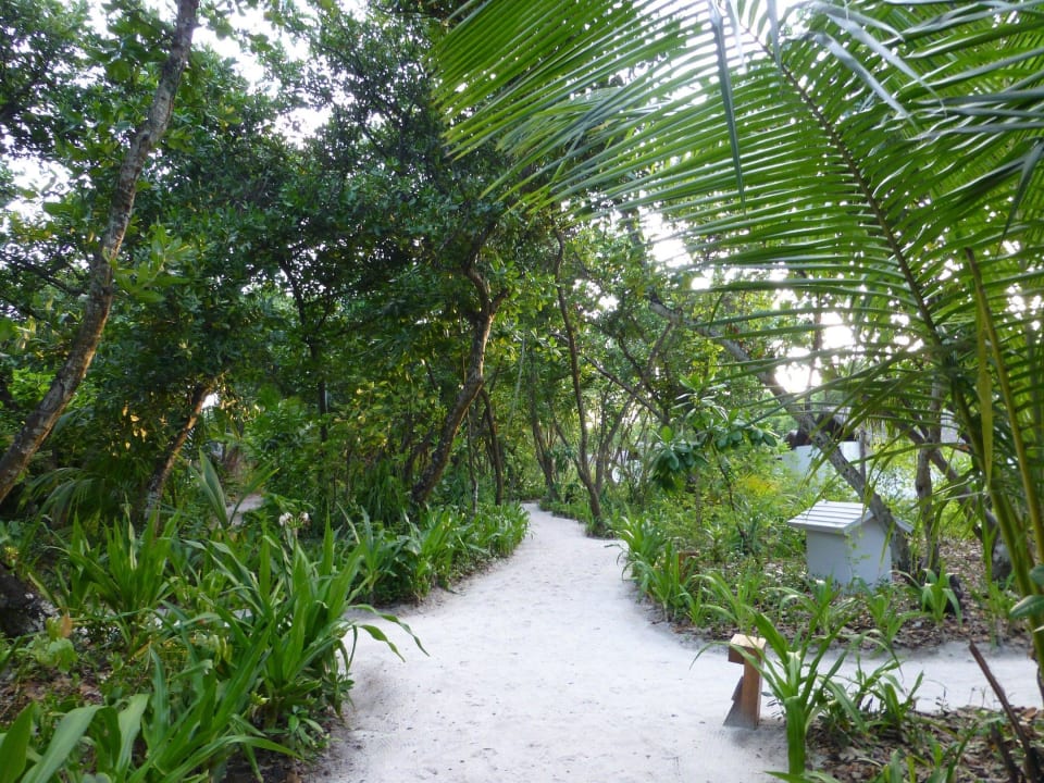 Inselinnere NH Collection Maldives Reethi Resort