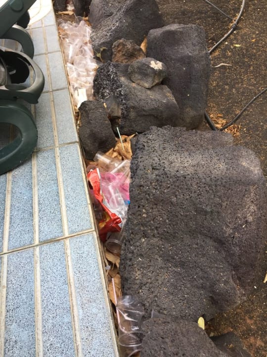 Sonstiges Relaxia Olivina