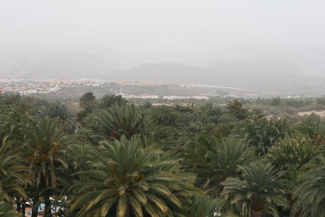 Blick in die Berge Seaside Hotel Palm Beach