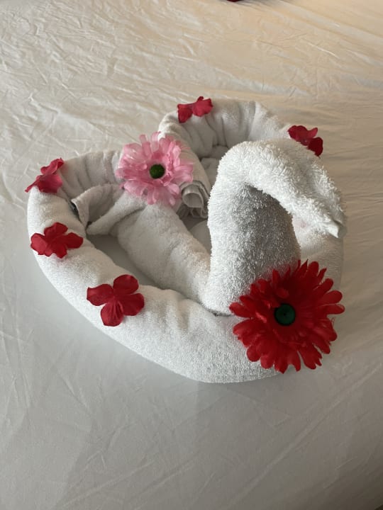 Zimmer Acanthus Cennet Barut Collection