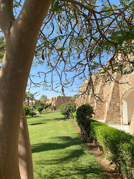 Gartenanlage Brayka Bay Resort