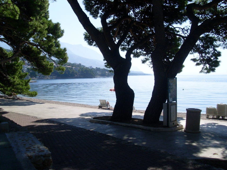 Direkter Hotelstrand Bluesun Hotel Soline