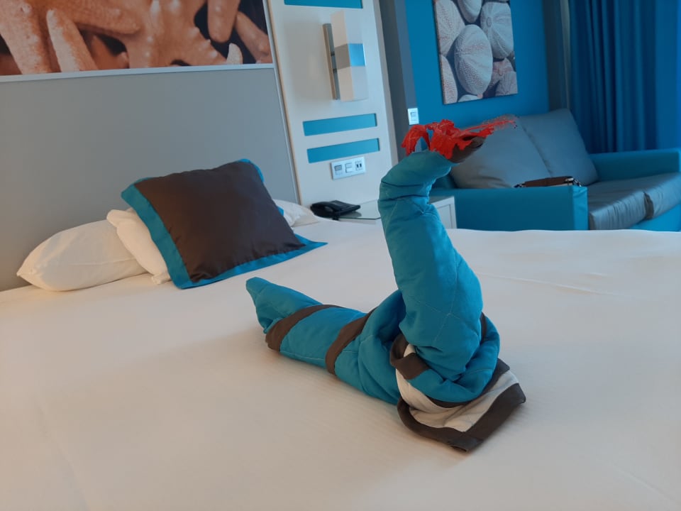 Zimmer Hotel Riu Republica - Adults only