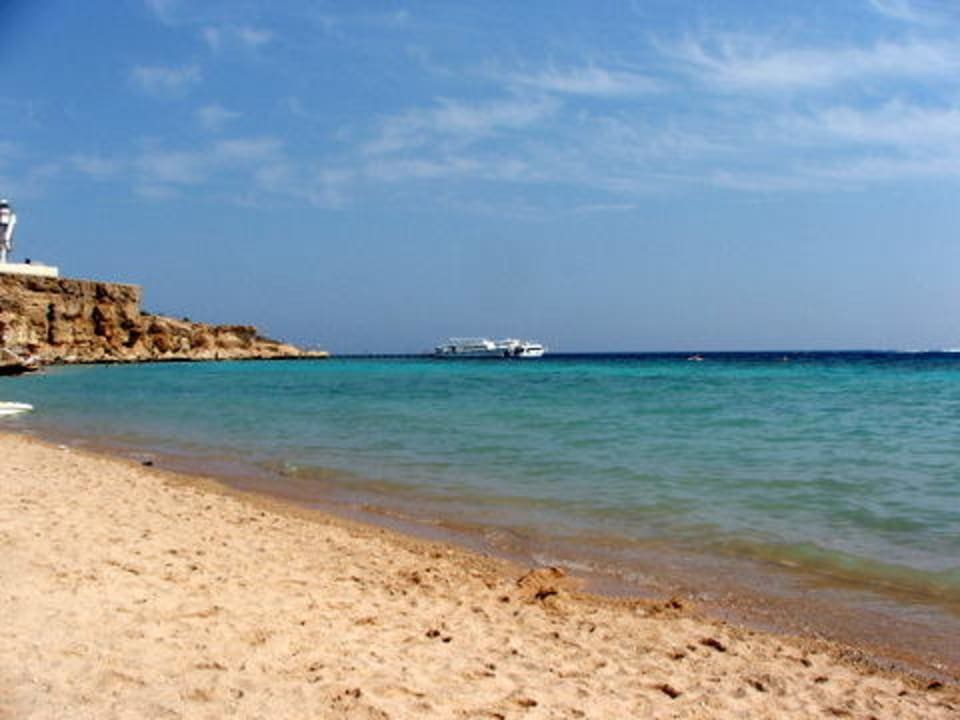 Plaza Reef Oasis Beach Resort