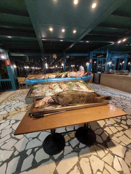 Gastro Club Paradisio El Gouna, Red Sea