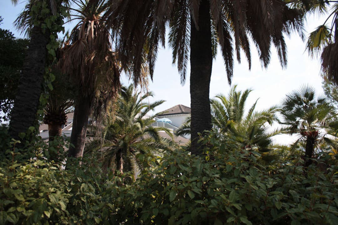 Widok na wieżę z ogrodu Villa Marina Residence