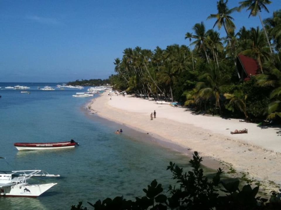 Der Alona Beach Hotel Amorita Resort