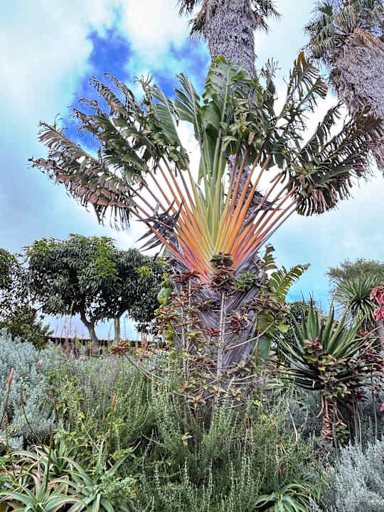 Gartenanlage Hotel Quinta Splendida Wellness & Botanical Garden