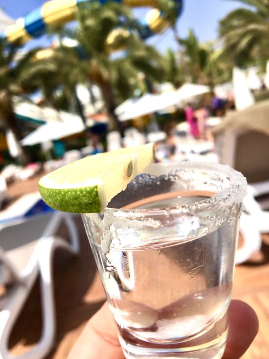 Gastro Quattro Beach Spa & Resort