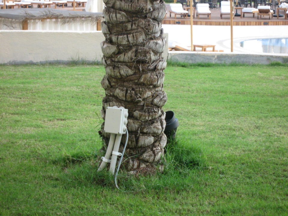 Nabq Bay, The Cleopatra Luxury Resort Collection Cleopatra Luxury Resort - Sharm El Sheikh